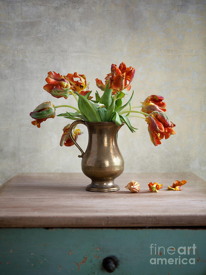 Tulip Photograph - Still Life with Tulips by Nailia Schwarz