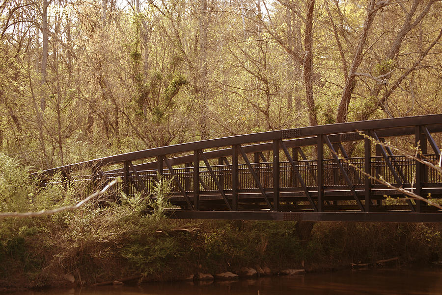 Still Pathways Photograph By Devin Rader Fine Art America