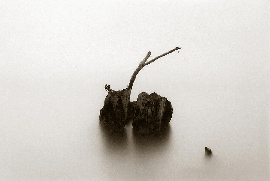 Still Water Photograph by Amarildo Correa