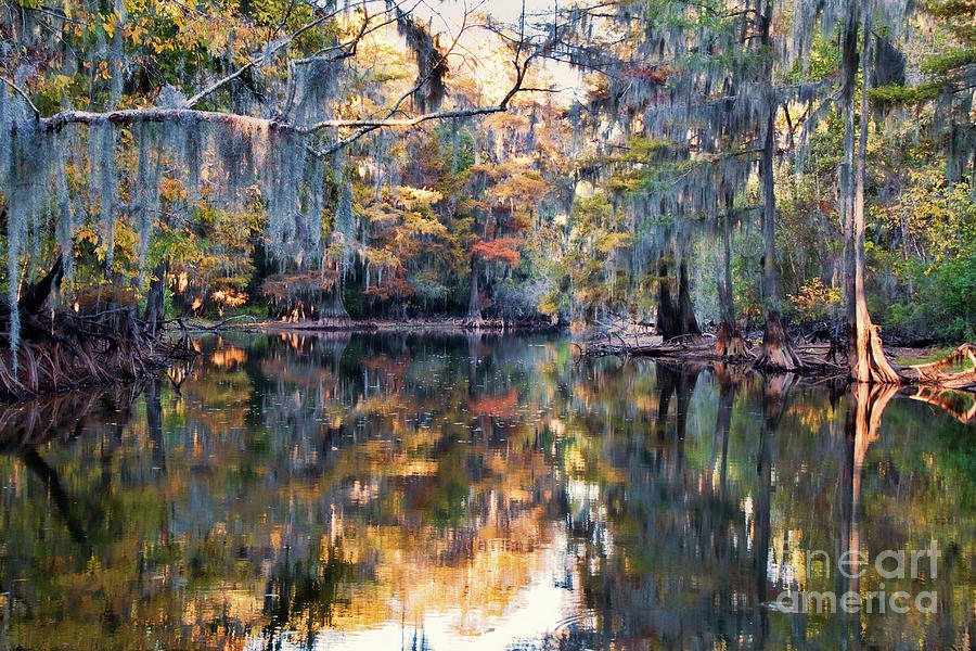 Still Waters - Autumn Reflections Photograph by Lana Trussell