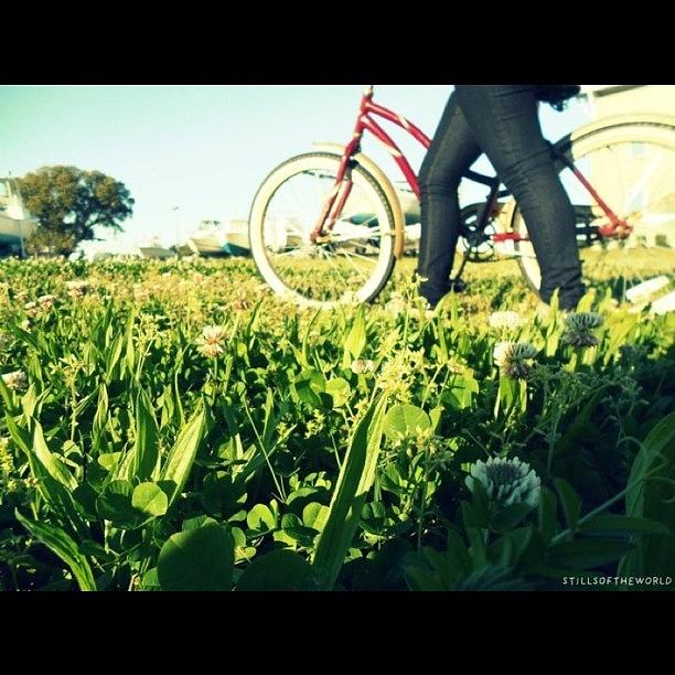 Bicycle Photograph - #stillsoftheworld #bicycle #bike #legs by Stills Of The World