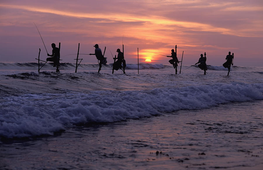 Stilt Fishermen Silhouetted At Sunset Photograph by Axiom Photographic