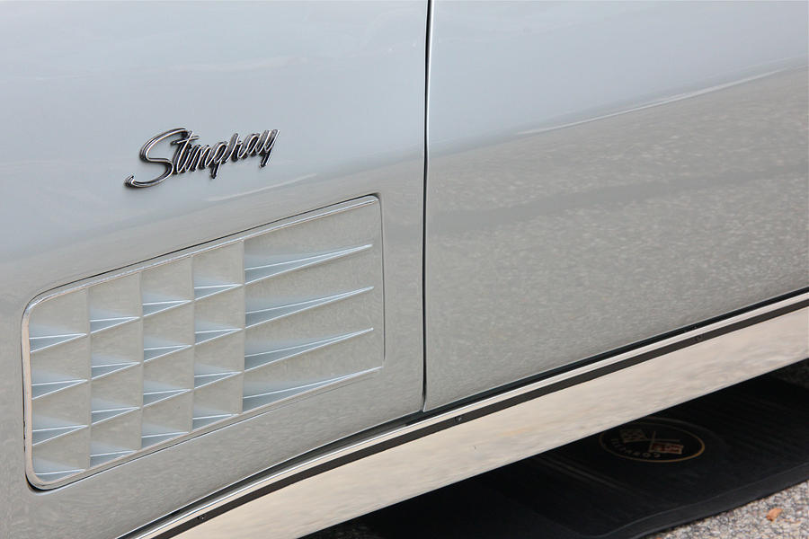 Stingray Gills Photograph by Chuck Zacharias | Pixels