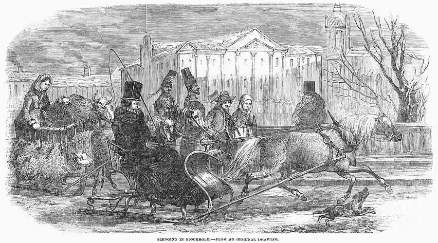 Transportation Photograph - Stockholm: Sleighing, 1850 by Granger