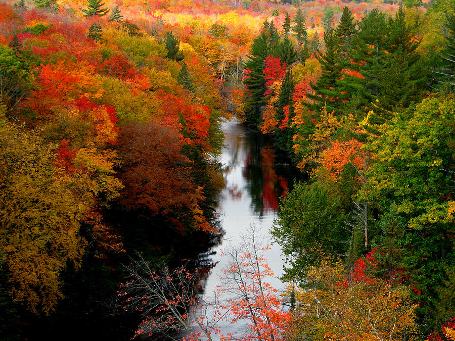 Stolen Fall Photograph by Mike Hainstock