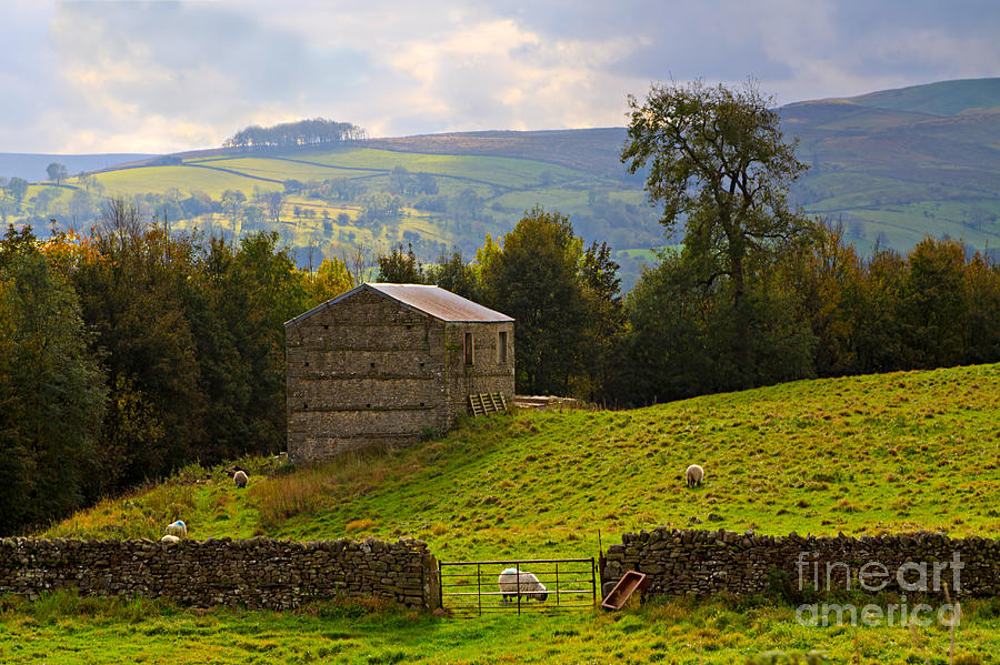Stone barn in Wensleydale in the Yorkshire Dales Photograph by Louise Heusinkveld