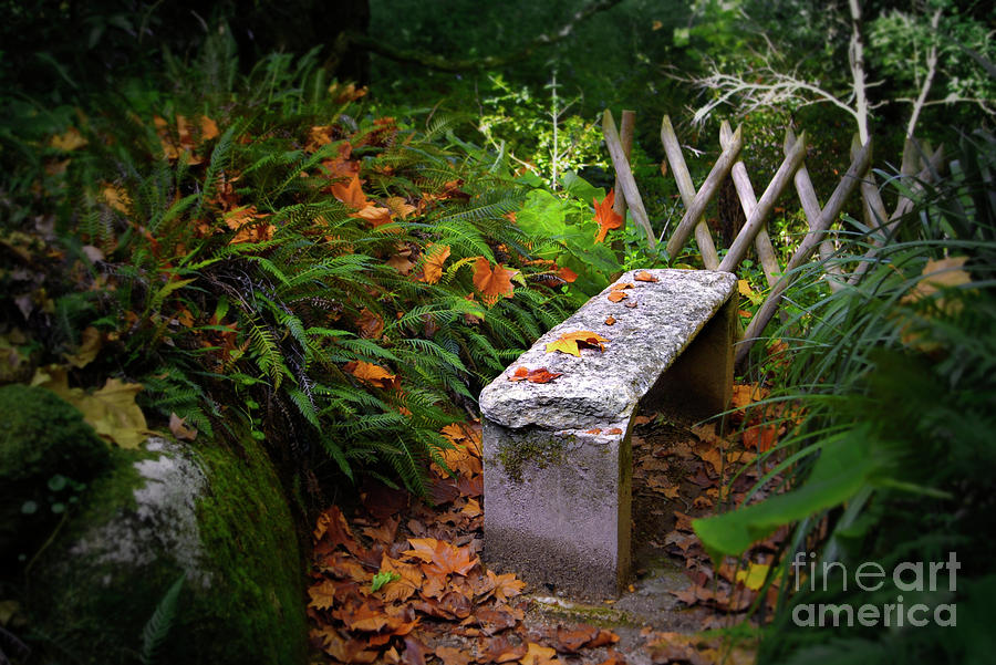 Fall Photograph - Stone Bench by Carlos Caetano