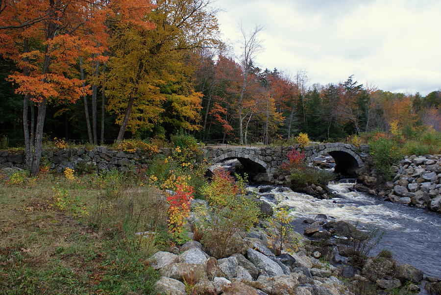 Stone Bridge Autumn 2011 Photograph by Lois Lepisto