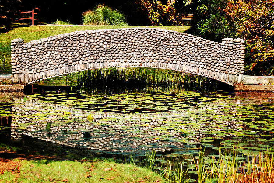 Lily Photograph - Stone Bridge by HD Connelly