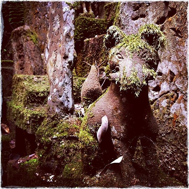 Nature Photograph - Stone Carving In The Fushini-Inari Taisha by Marc Gascoigne
