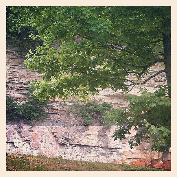Indiana Photograph - Stone Cliff Near The Ohio River by Tosha Daugherty