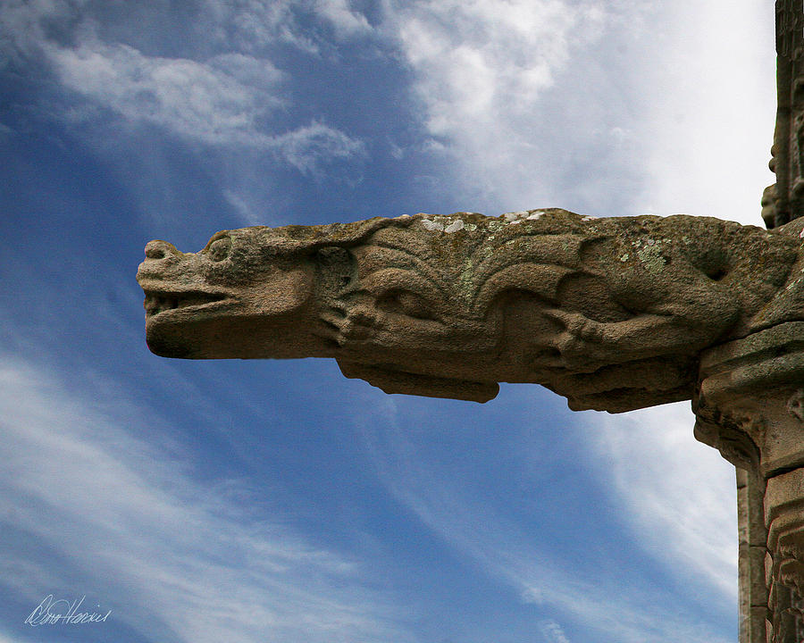 Stone Dragon Photograph by Diana Haronis