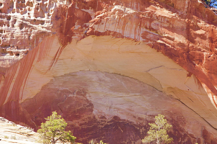 Stone Eye in Zion National Park Photograph by Gregory Scott