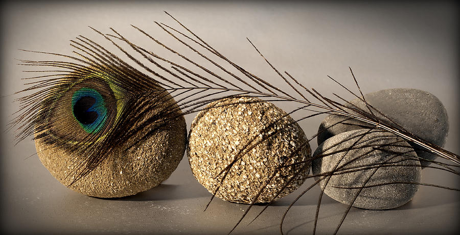 stone fish - A a peacock feather and four pebbles become a sea creature in artist mind Photograph by Pedro Cardona Llambias
