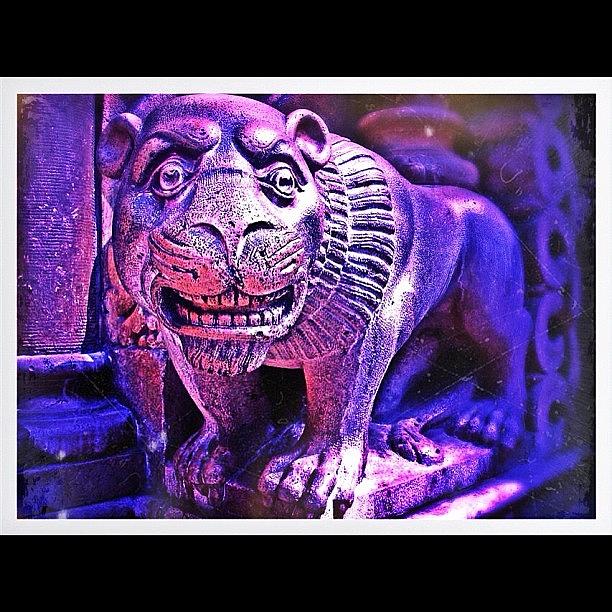 Lion Photograph - Stone Lion by Leonard Lee