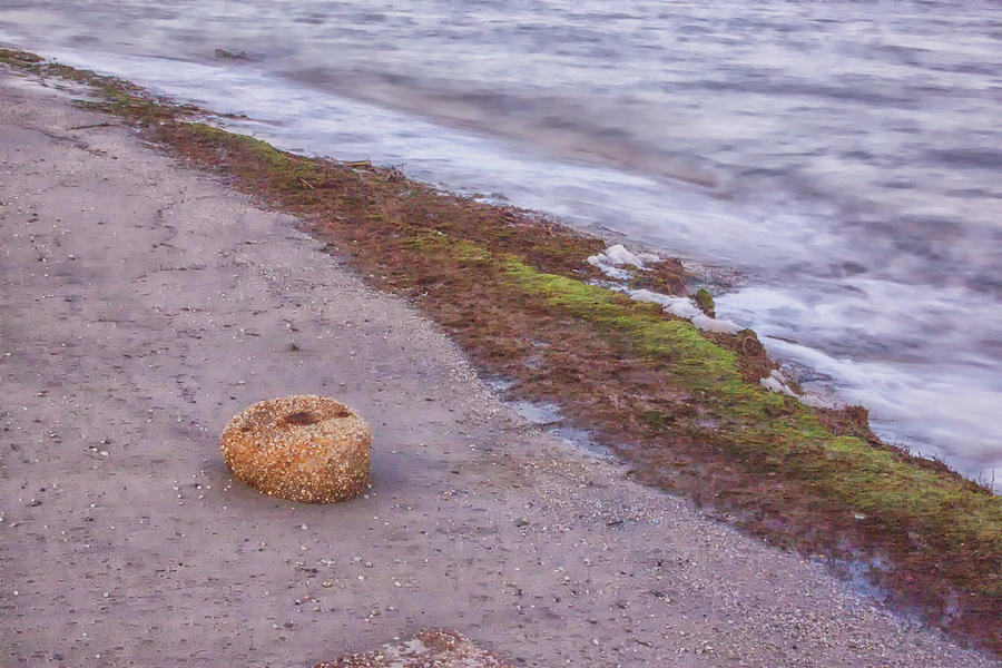 Stone On The Beach Photograph by Tom Singleton