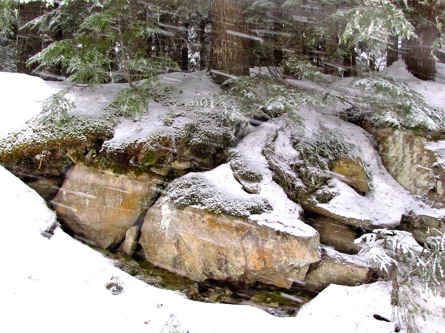 Stone Outcrop in Snow Storm Photograph by Sean Griffin