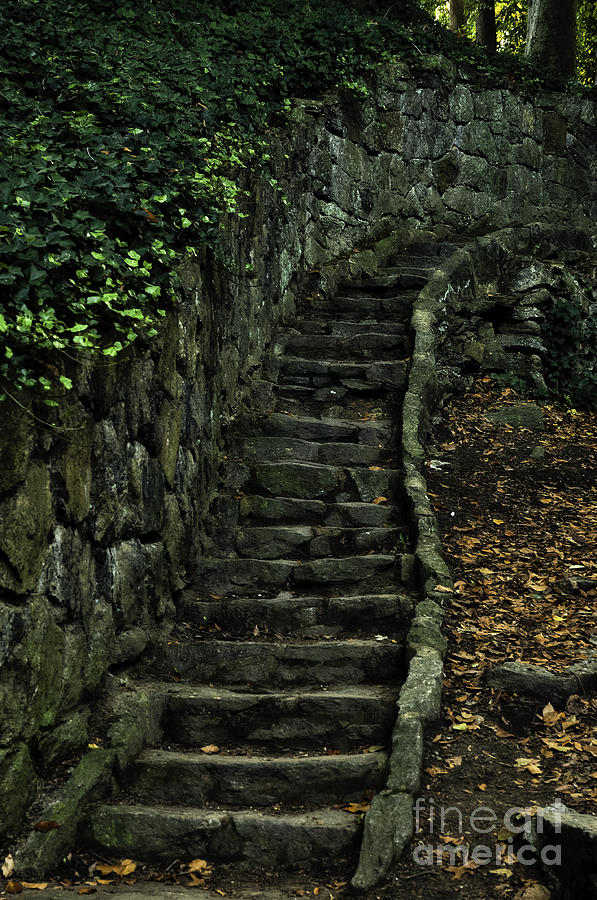 Stone Stair Way Photograph by David Waldrop