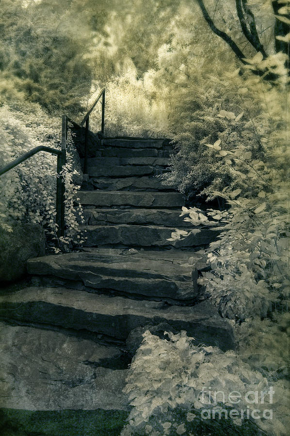 Stone Staircase in the Woods Photograph by Jill Battaglia - Pixels