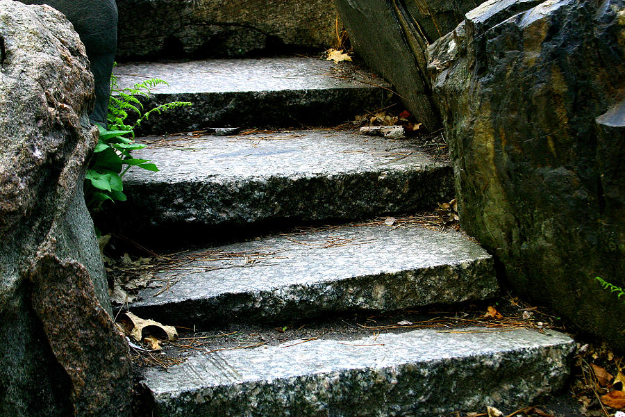 Stone  Steps  Close Up Photograph by William Meemken
