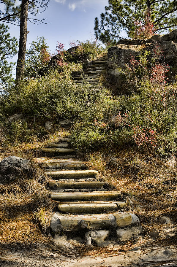 Stone Steps Photograph by Heather Applegate