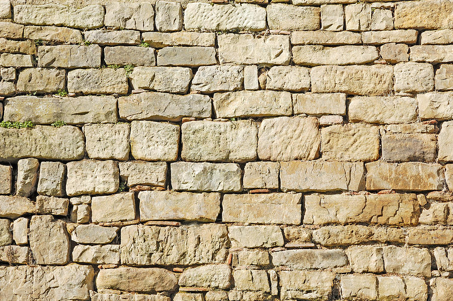 Stone Wall Photograph by Matthias Hauser