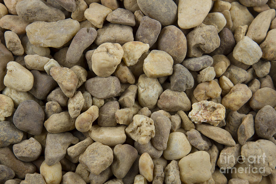 Nature Photograph - Stones by Blink Images