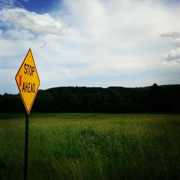 Sign Photograph - Stop Ahead... by Courtney Meunier