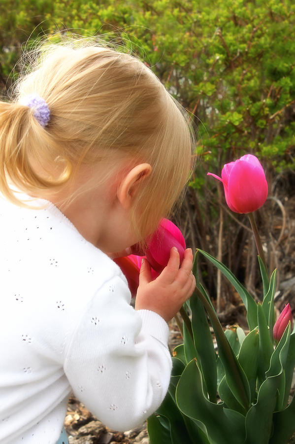 Stop To Smell The Flowers Photograph by Tracie Schiebel