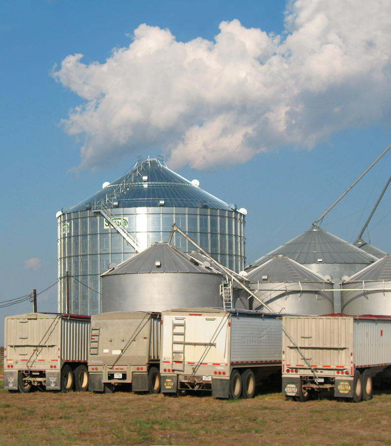 Storage Silos  and Trucks Photograph by Connie Fox