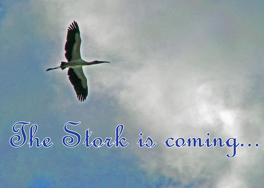 Stork is Coming Blue Photograph by T Guy Spencer