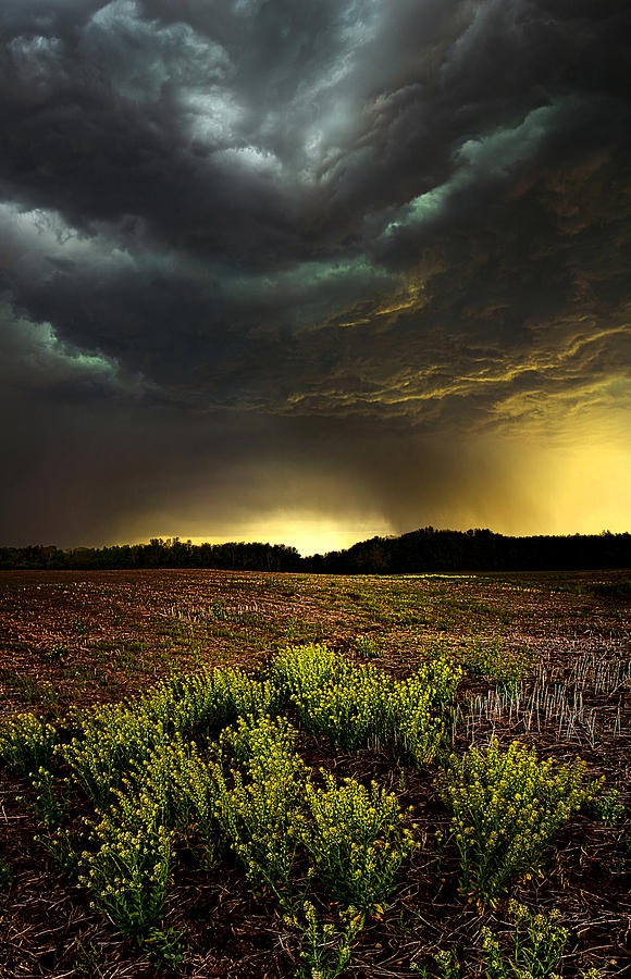 Landscape Photograph - Storm Chaser by Phil Koch