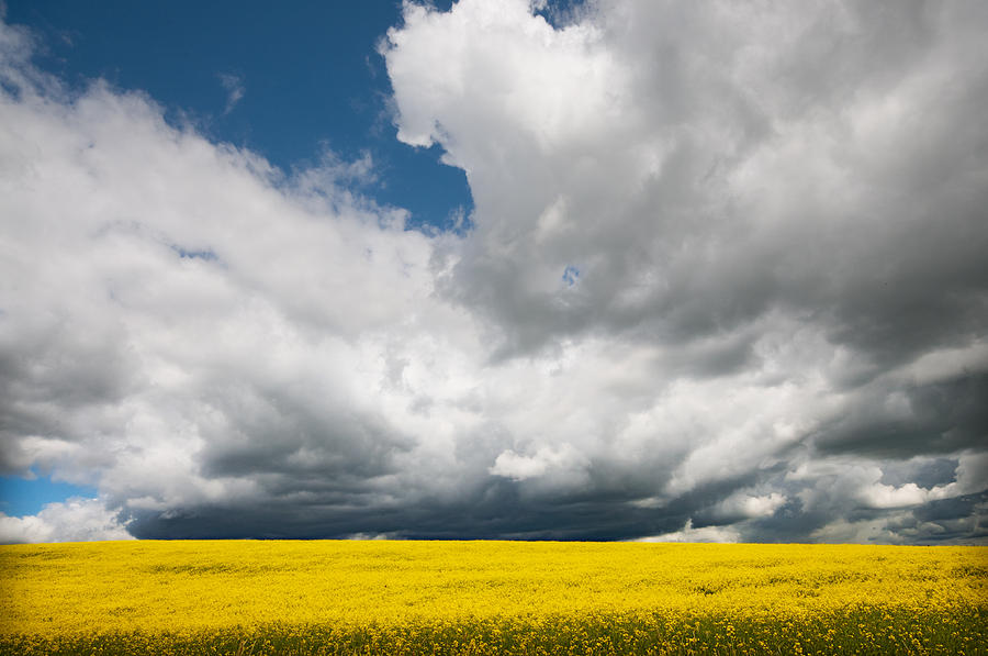 Storm Clouds Gathering Photograph by Kasandra Sproson