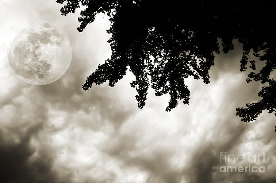 Storm Clouds Over A Super Moon Night 2 Photograph by Andee Design