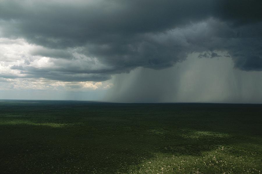 Африканская буря