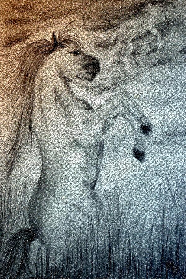 Horse Drawing - Storm by Maria Urso