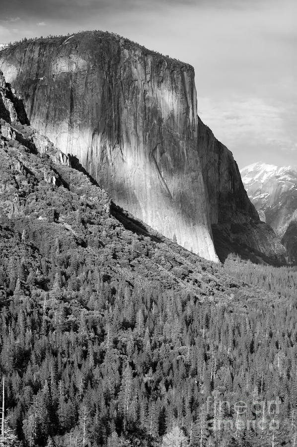 Yosemite National Park Photograph - Storm Over El Capitan by Sandra Bronstein