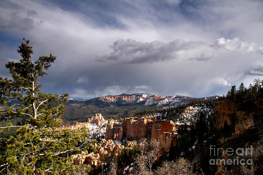 Storm Over The South RIm Bryce Canyon Photograph by Butch Lombardi