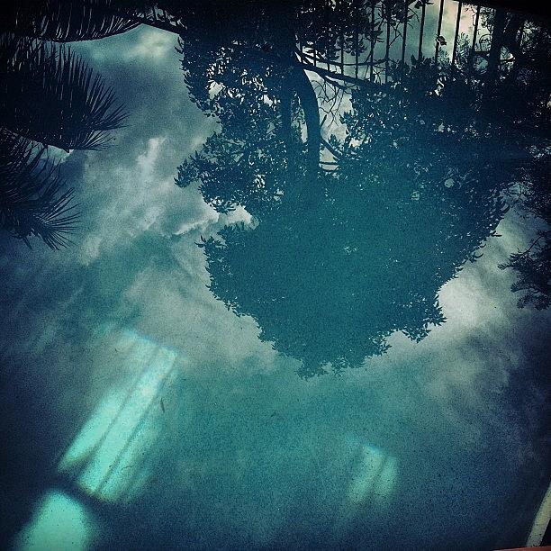 Storm Reflections In The Pool..x Photograph by Ellie Susko