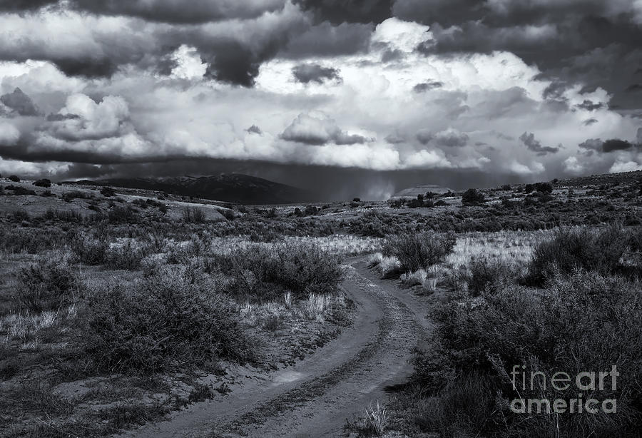 Mountain Photograph - Storm Track by Michael Dawson