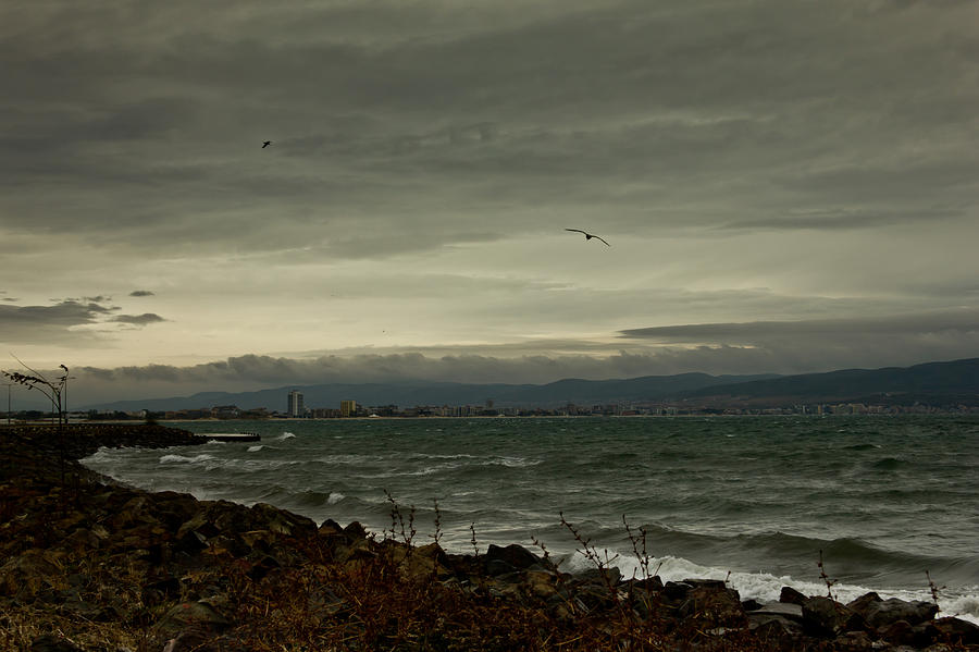 Winter Photograph - Stormy Day by Nadya Ost