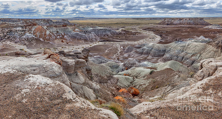 National Parks Photograph - Stormy Morning At Petrified Forest  by Sandra Bronstein