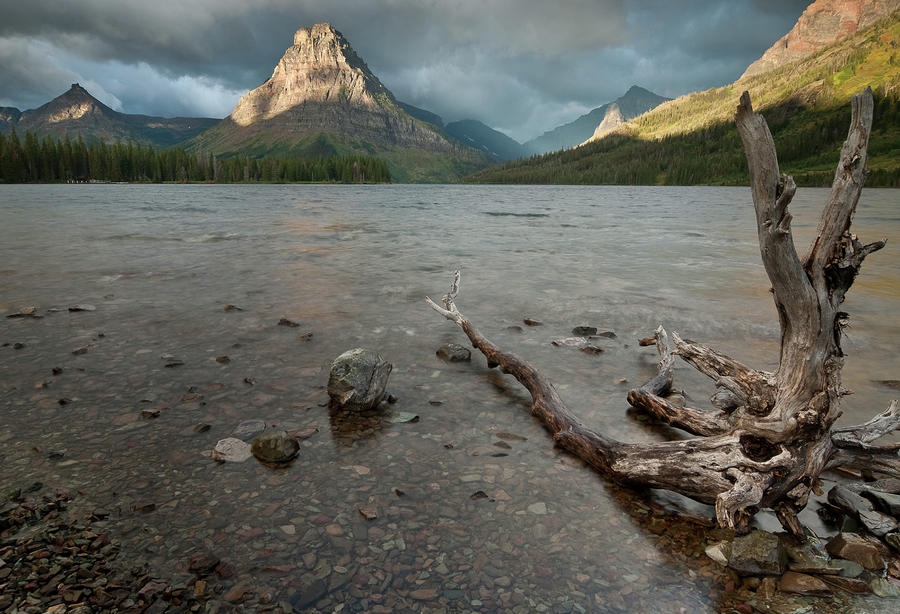 Glacier National Park Photograph - Stormy Morning at Two Medicine Lake by Greg Nyquist
