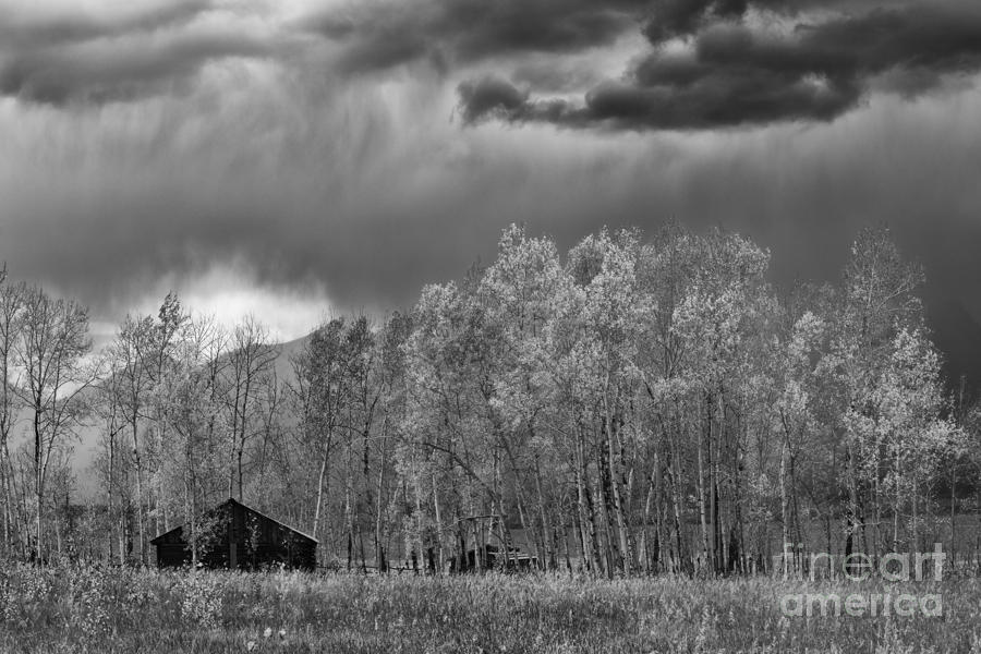 Stormy Morning in the Grand Tetons Photograph by Sandra Bronstein
