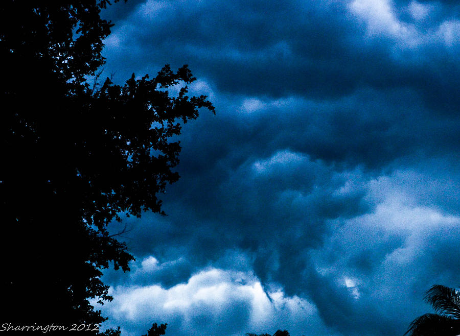 Stormy Photograph by Shannon Harrington