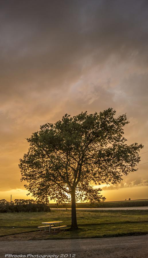 Stormy Sunset Behind a Lone Tree Photograph by Paul Brooks