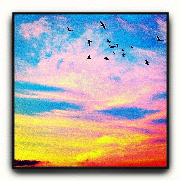 Sunset Photograph - Storybook Sky by Paul Cutright