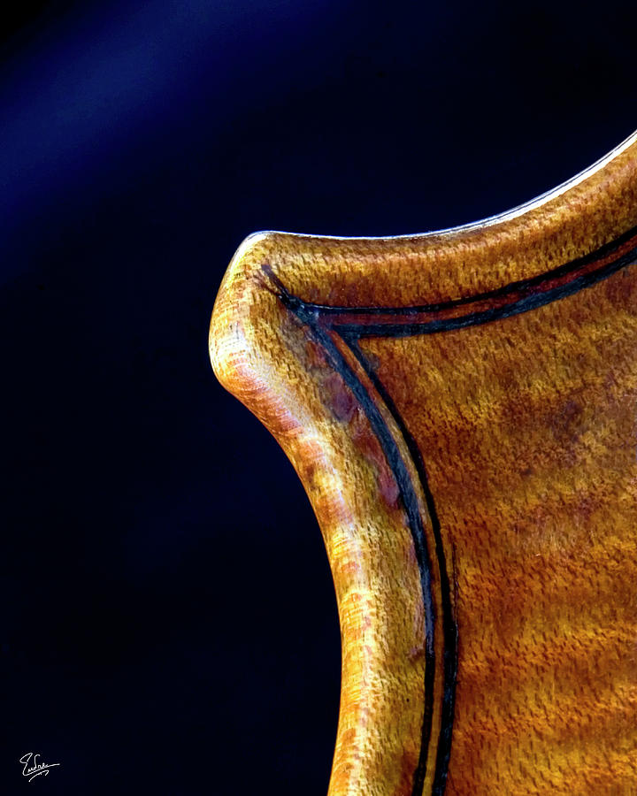 Stradivarius Corner Closeup Photograph by Endre Balogh