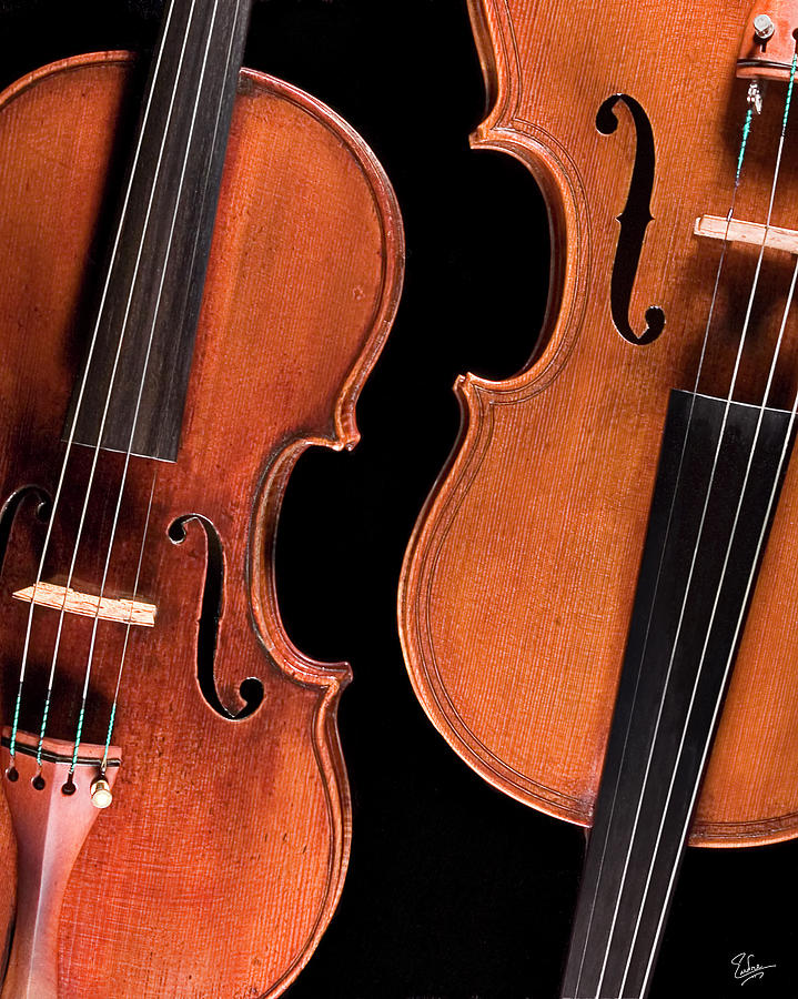 Stradivarius Violin and Maggini Viola Photograph by Endre Balogh