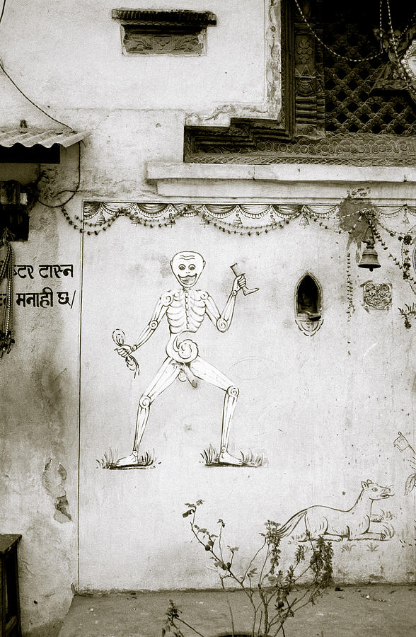 The Surreal Skeleton  Photograph by Shaun Higson